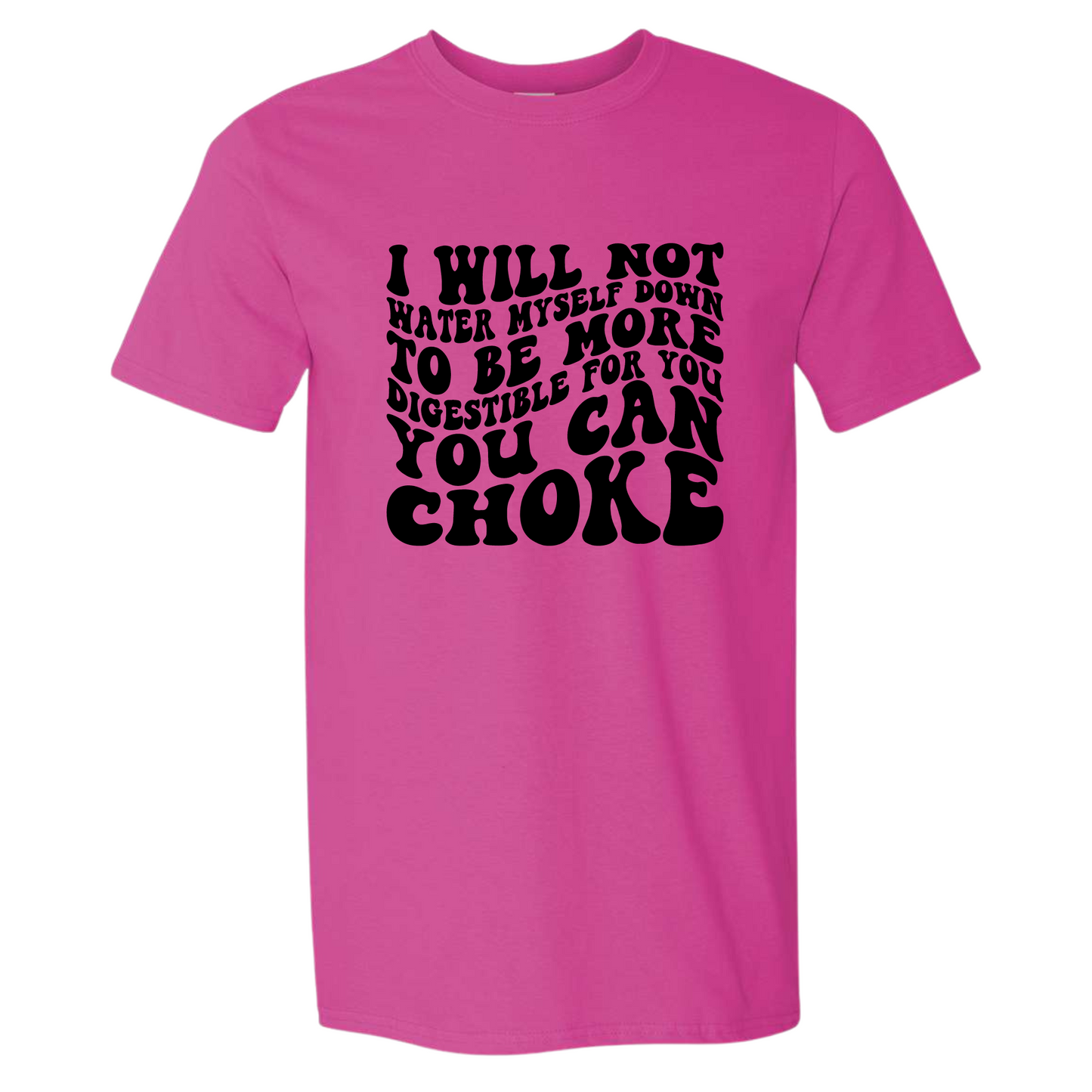 I Will Not Water Myself Down To Be More Digestible For You T-Shirt