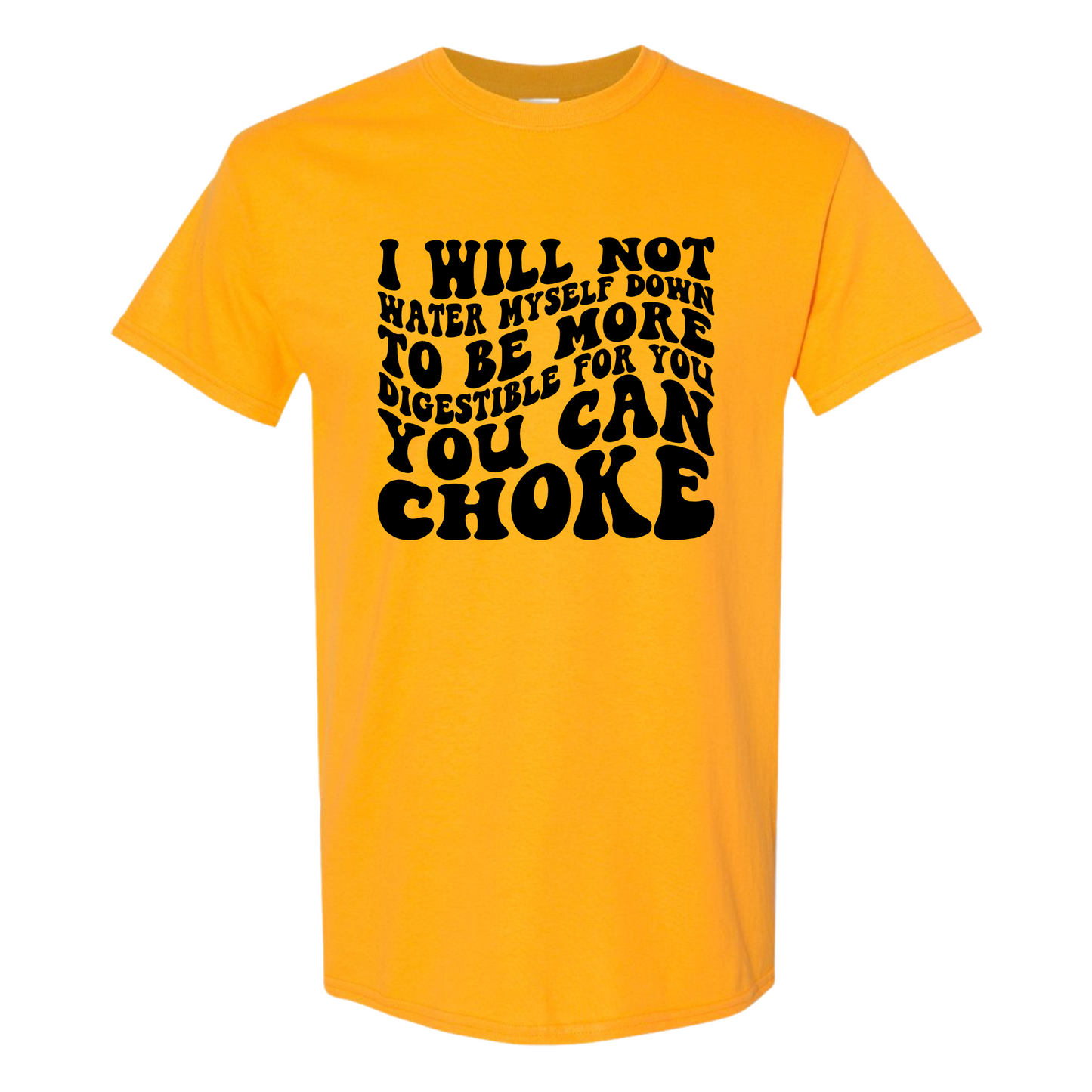 I Will Not Water Myself Down To Be More Digestible For You T-Shirt