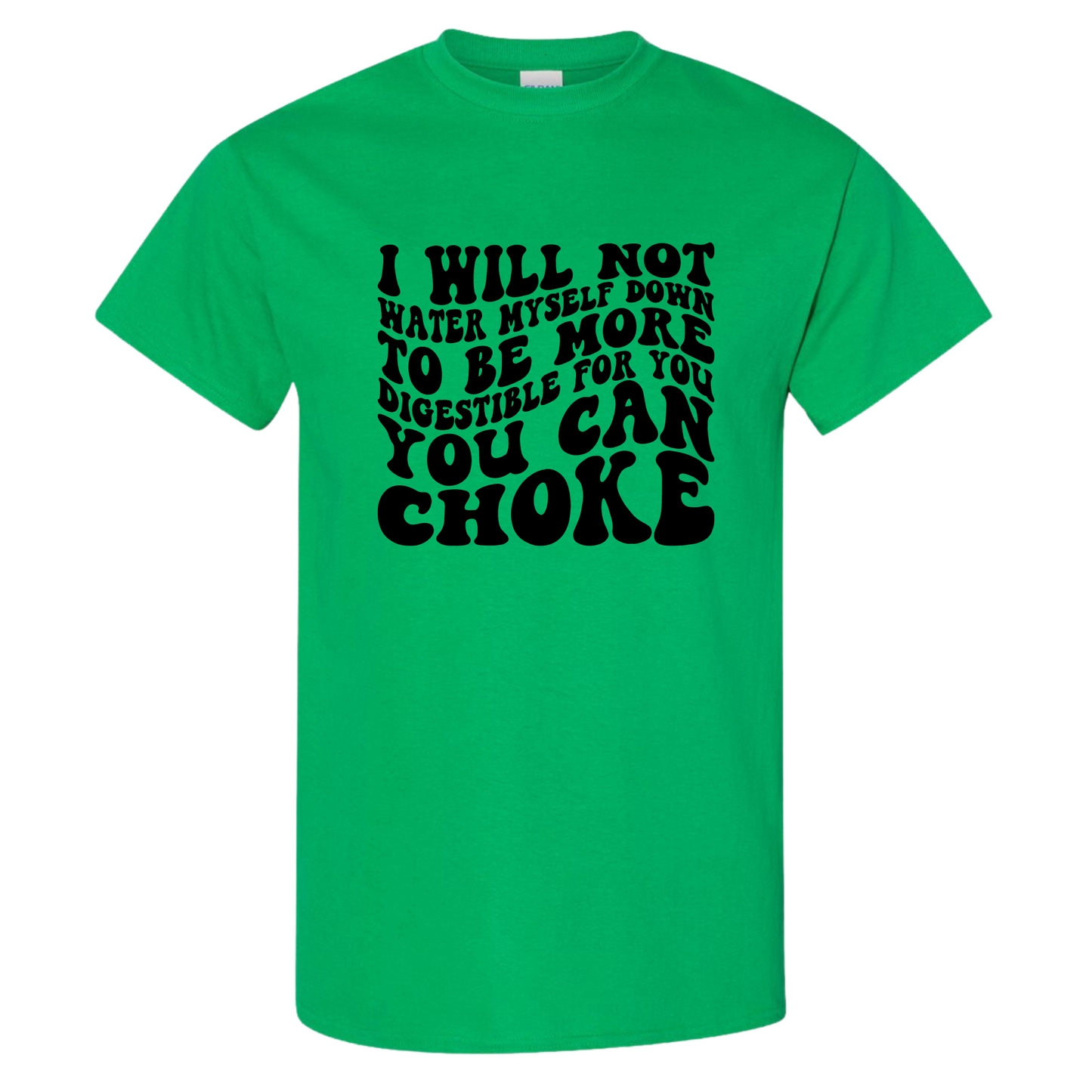 I Will Not Water Myself Down To Be More Digestible For You T-Shirt