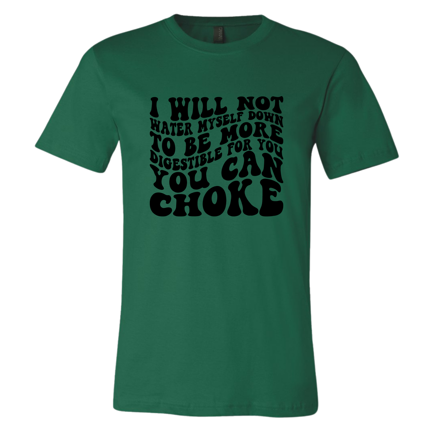 I Will Not Water Myself Down To Be More Digestible For You T-Shirt