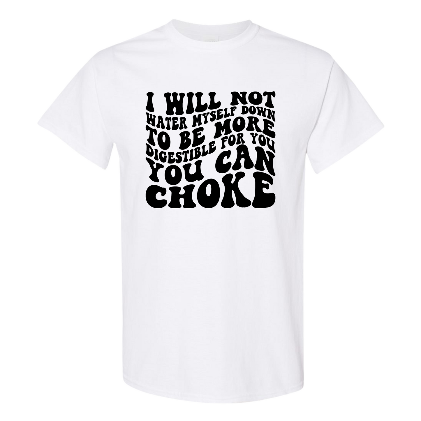 I Will Not Water Myself Down To Be More Digestible For You T-Shirt